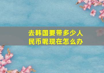 去韩国要带多少人民币呢现在怎么办