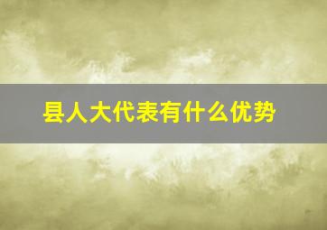 县人大代表有什么优势