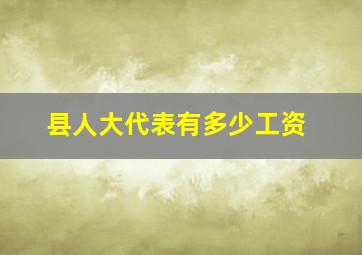 县人大代表有多少工资