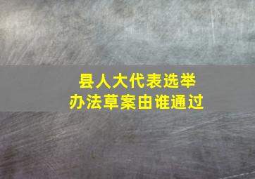 县人大代表选举办法草案由谁通过