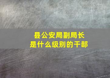 县公安局副局长是什么级别的干部