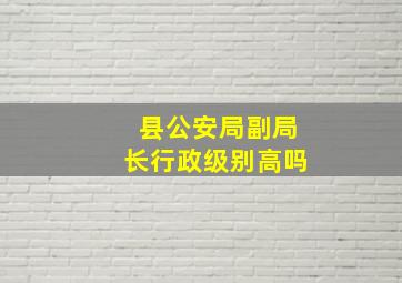 县公安局副局长行政级别高吗