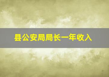 县公安局局长一年收入