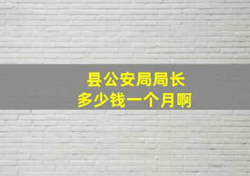 县公安局局长多少钱一个月啊