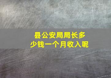 县公安局局长多少钱一个月收入呢