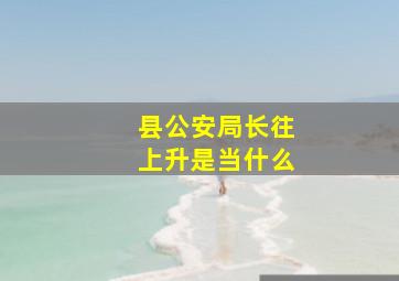 县公安局长往上升是当什么