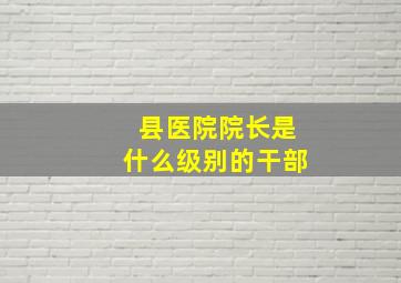 县医院院长是什么级别的干部