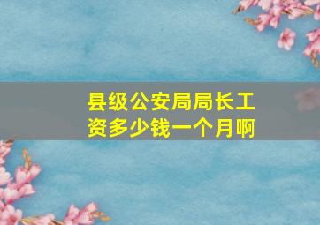 县级公安局局长工资多少钱一个月啊