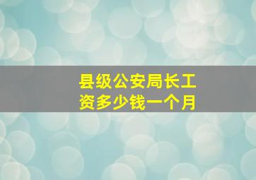 县级公安局长工资多少钱一个月