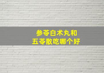 参苓白术丸和五苓散吃哪个好