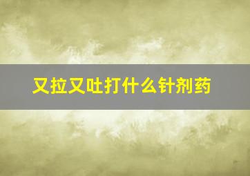 又拉又吐打什么针剂药