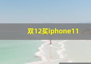 双12买iphone11