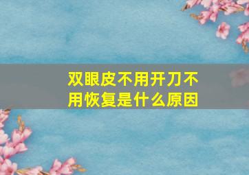 双眼皮不用开刀不用恢复是什么原因