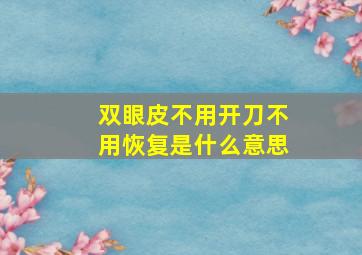 双眼皮不用开刀不用恢复是什么意思