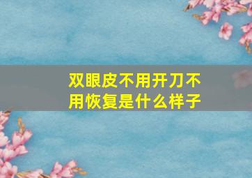 双眼皮不用开刀不用恢复是什么样子