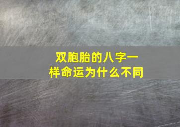 双胞胎的八字一样命运为什么不同