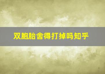 双胞胎舍得打掉吗知乎