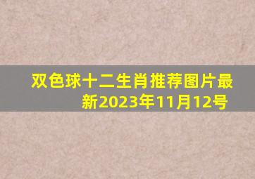 双色球十二生肖推荐图片最新2023年11月12号