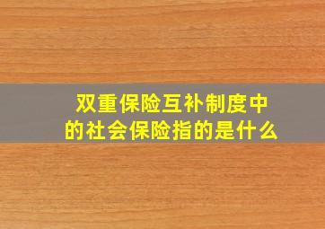 双重保险互补制度中的社会保险指的是什么