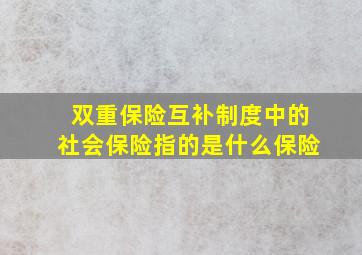 双重保险互补制度中的社会保险指的是什么保险