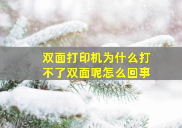 双面打印机为什么打不了双面呢怎么回事