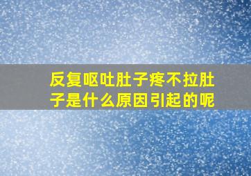 反复呕吐肚子疼不拉肚子是什么原因引起的呢