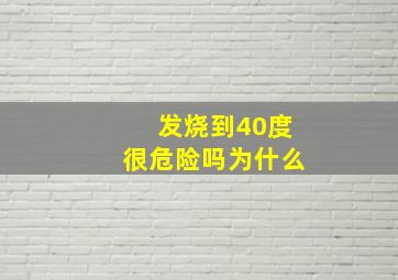 发烧到40度很危险吗为什么