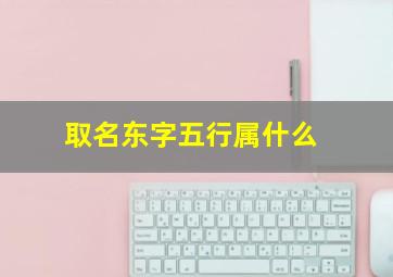 取名东字五行属什么