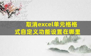 取消excel单元格格式自定义功能设置在哪里