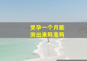 受孕一个月能测出来吗准吗