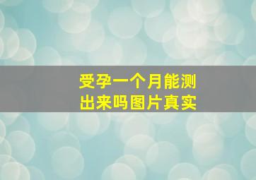 受孕一个月能测出来吗图片真实