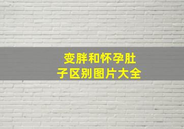 变胖和怀孕肚子区别图片大全