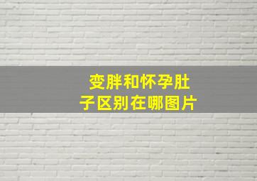 变胖和怀孕肚子区别在哪图片