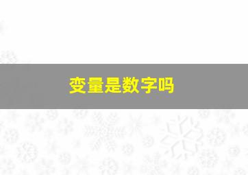 变量是数字吗