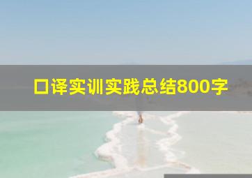 口译实训实践总结800字