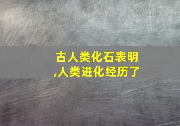 古人类化石表明,人类进化经历了