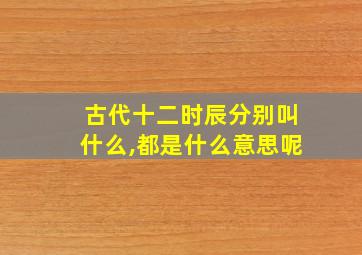 古代十二时辰分别叫什么,都是什么意思呢