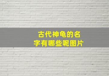 古代神龟的名字有哪些呢图片