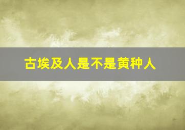 古埃及人是不是黄种人