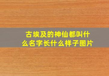 古埃及的神仙都叫什么名字长什么样子图片