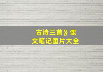 古诗三首》课文笔记图片大全