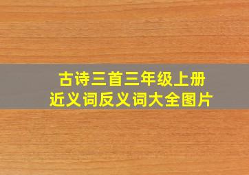 古诗三首三年级上册近义词反义词大全图片