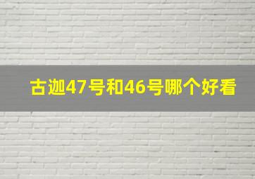 古迦47号和46号哪个好看