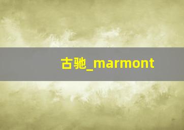 古驰_marmont