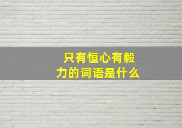 只有恒心有毅力的词语是什么