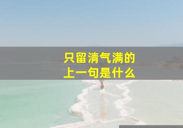 只留清气满的上一句是什么