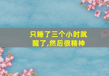 只睡了三个小时就醒了,然后很精神