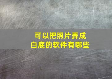 可以把照片弄成白底的软件有哪些