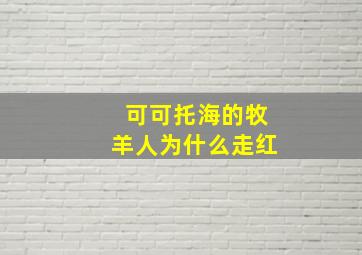 可可托海的牧羊人为什么走红