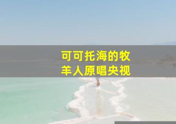 可可托海的牧羊人原唱央视